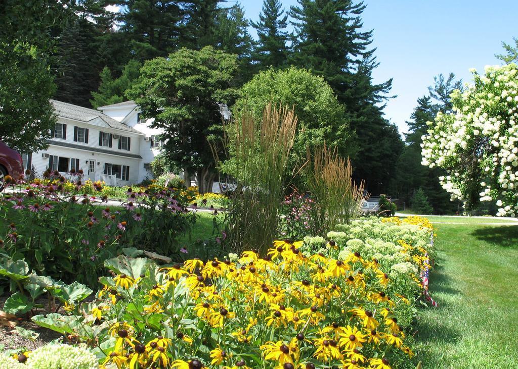 Purity Spring Resort Madison Экстерьер фото